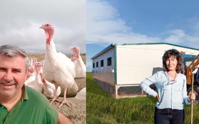 La historia de PavosBio: Emprendimiento e innovación en la producción de ganadería 100% BIO con el Corral Móvil de Ormi Group